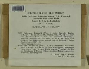 Helodium blandowii (F. Weber & D. Mohr) Warnst., Bryophytes, Bryophytes - Baikal & Transbaikal regions (B18) (Russia)