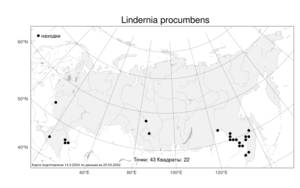 Lindernia procumbens (Krock.) Borbás, Atlas of the Russian Flora (FLORUS) (Russia)