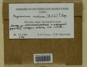 Plagiomnium medium (Bruch & Schimp.) T.J. Kop., Bryophytes, Bryophytes - Moscow City & Moscow Oblast (B6a) (Russia)
