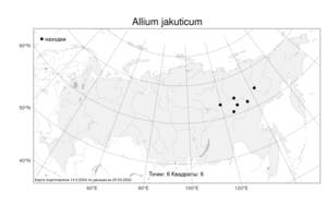 Allium jakuticum Sinitsyna & N.Friesen, Atlas of the Russian Flora (FLORUS) (Russia)