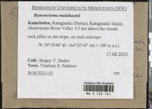 Hymenoloma mulahaceni (Höhn.) Ochyra, Bryophytes, Bryophytes - Chukotka & Kamchatka (B21) (Russia)