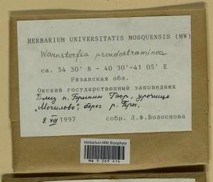 Warnstorfia pseudostraminea (Müll. Hal.) Tuom. & T.J. Kop., Bryophytes, Bryophytes - Middle Russia (B6) (Russia)