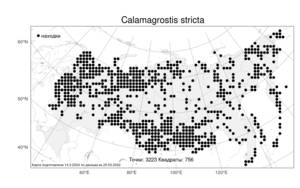 Calamagrostis stricta (Timm) Koeler, Atlas of the Russian Flora (FLORUS) (Russia)