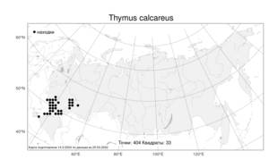 Thymus calcareus Klokov & Des.-Shost., Atlas of the Russian Flora (FLORUS) (Russia)