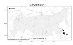 Diphylleia grayi F. Schmidt, Atlas of the Russian Flora (FLORUS) (Russia)