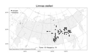 Limnas stelleri Trin., Atlas of the Russian Flora (FLORUS) (Russia)