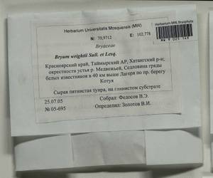 Ptychostomum wrightii (Sull. & Lesq.) J.R. Spence, Bryophytes, Bryophytes - Krasnoyarsk Krai, Tyva & Khakassia (B17) (Russia)