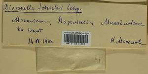 Aongstroemia schreberiana (Hedw.) Bonfim Santos & Fedosov, Bryophytes, Bryophytes - Moscow City & Moscow Oblast (B6a) (Russia)