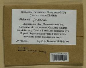 Philonotis fontana (Hedw.) Brid., Bryophytes, Bryophytes - Karelia, Leningrad & Murmansk Oblasts (B4) (Russia)