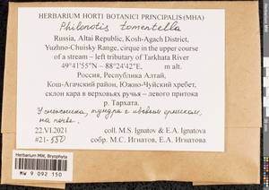 Philonotis tomentella Molendo, Bryophytes, Bryophytes - Western Siberia (including Altai) (B15) (Russia)