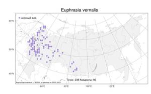 Euphrasia ×vernalis List, Atlas of the Russian Flora (FLORUS) (Russia)