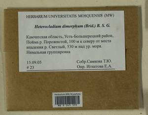 Heterocladiella dimorpha (Brid.) Ignatov & Fedosov, Bryophytes, Bryophytes - Chukotka & Kamchatka (B21) (Russia)