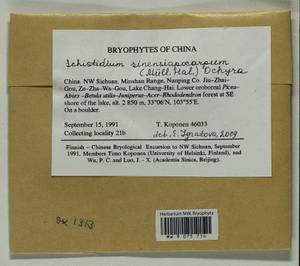 Schistidium sinensiapocarpum (Müll. Hal.) Ochyra, Bryophytes, Bryophytes - Asia (outside ex-Soviet states) (BAs) (China)