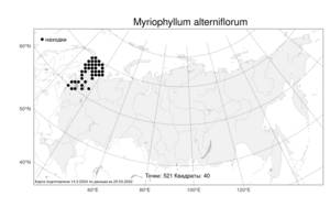 Myriophyllum alterniflorum DC., Atlas of the Russian Flora (FLORUS) (Russia)