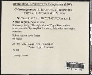 Grimmia jacutica Ignatova, Bedn.-Ochyra, Afonina & J. Muñoz, Bryophytes, Bryophytes - Russian Far East (excl. Chukotka & Kamchatka) (B20) (Russia)