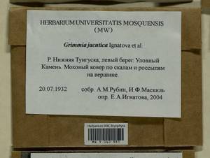 Grimmia jacutica Ignatova, Bedn.-Ochyra, Afonina & J. Muñoz, Bryophytes, Bryophytes - Krasnoyarsk Krai, Tyva & Khakassia (B17) (Russia)