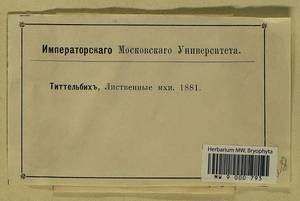 Aloina aloides (W.D.J. Koch ex Schultz) Kindb., Bryophytes, Bryophytes (no precise locality) (B0)
