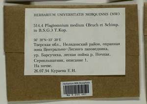 Plagiomnium medium (Bruch & Schimp.) T.J. Kop., Bryophytes, Bryophytes - Middle Russia (B6) (Russia)