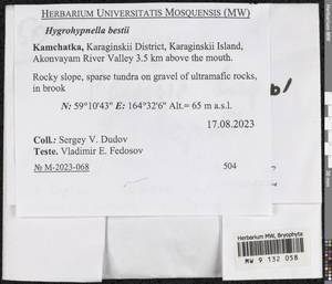 Hygrohypnella bestii (Renauld & Bryhn) Ignatov & Ignatova, Bryophytes, Bryophytes - Chukotka & Kamchatka (B21) (Russia)