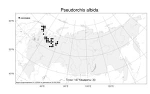 Pseudorchis albida (L.) Á.Löve & D.Löve, Atlas of the Russian Flora (FLORUS) (Russia)