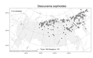 Descurainia sophioides (Fisch. ex Hook.) O.E.Schulz, Atlas of the Russian Flora (FLORUS) (Russia)