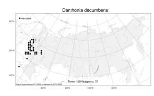 Danthonia decumbens (L.) DC., Atlas of the Russian Flora (FLORUS) (Russia)