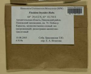 Fissidens bryoides Hedw., Bryophytes, Bryophytes - European North East (B7) (Russia)