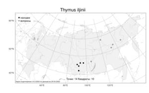 Thymus iljinii Klokov & Des.-Shost., Atlas of the Russian Flora (FLORUS) (Russia)