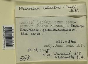 Pleurozium schreberi (Willd. ex Brid.) Mitt., Bryophytes, Bryophytes - North Caucasus & Ciscaucasia (B12) (Russia)