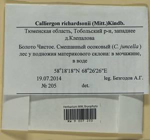 Calliergon richardsonii (Mitt.) Kindb. ex G. Roth, Bryophytes, Bryophytes - Western Siberia (including Altai) (B15) (Russia)