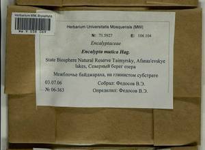 Encalypta mutica I. Hagen, Bryophytes, Bryophytes - Krasnoyarsk Krai, Tyva & Khakassia (B17) (Russia)