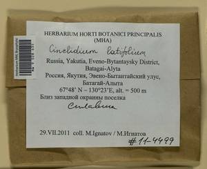 Cinclidium latifolium Lindb., Bryophytes, Bryophytes - Yakutia (B19) (Russia)