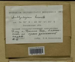 Hygroamblystegium humile (P. Beauv.) Vanderp., Hedenäs & Goffinet, Bryophytes, Bryophytes - Middle Russia (B6) (Russia)