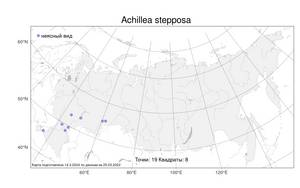 Achillea stepposa Klokov & Krytzka, Atlas of the Russian Flora (FLORUS) (Russia)