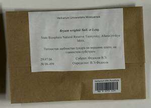 Ptychostomum wrightii (Sull. & Lesq.) J.R. Spence, Bryophytes, Bryophytes - Krasnoyarsk Krai, Tyva & Khakassia (B17) (Russia)