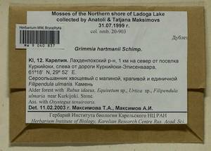 Grimmia hartmanii Schimp., Bryophytes, Bryophytes - Karelia, Leningrad & Murmansk Oblasts (B4) (Russia)