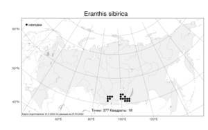 Eranthis sibirica DC., Atlas of the Russian Flora (FLORUS) (Russia)