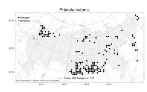 Primula nutans Georgi, Atlas of the Russian Flora (FLORUS) (Russia)