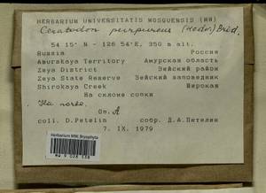 Ceratodon purpureus (Hedw.) Brid., Bryophytes, Bryophytes - Russian Far East (excl. Chukotka & Kamchatka) (B20) (Russia)