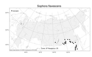 Sophora flavescens Aiton, Atlas of the Russian Flora (FLORUS) (Russia)