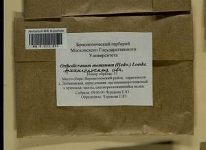 Orthodicranum montanum (Hedw.) Loeske, Bryophytes, Bryophytes - European North East (B7) (Russia)