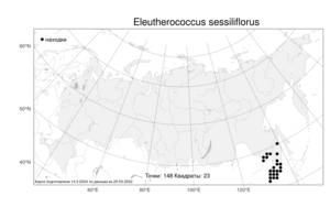 Eleutherococcus sessiliflorus (Rupr. & Maxim.) S. Y. Hu, Atlas of the Russian Flora (FLORUS) (Russia)