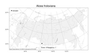 Alcea froloviana (Litv.) Iljin, Atlas of the Russian Flora (FLORUS) (Russia)