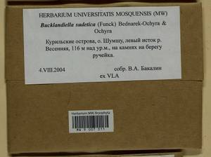 Bucklandiella sudetica (Funck) Bedn.-Ochyra & Ochyra, Bryophytes, Bryophytes - Russian Far East (excl. Chukotka & Kamchatka) (B20) (Russia)