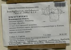 Jochenia pallescens (Hedw.) Hedenäs, Schlesak & D. Quandt, Bryophytes, Bryophytes - Middle Russia (B6) (Russia)