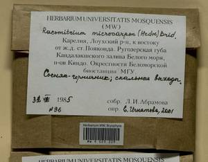 Bucklandiella microcarpos (Hedw.) Bedn.-Ochyra & Ochyra, Bryophytes, Bryophytes - Karelia, Leningrad & Murmansk Oblasts (B4) (Russia)