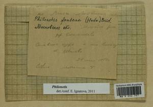 Philonotis fontana (Hedw.) Brid., Bryophytes, Bryophytes - Moscow City & Moscow Oblast (B6a) (Russia)