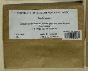 Pohlia nutans (Hedw.) Lindb., Bryophytes, Bryophytes - Central forest-and-steppe region (B10) (Russia)