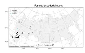 Festuca pseudodalmatica Krajina, Atlas of the Russian Flora (FLORUS) (Russia)
