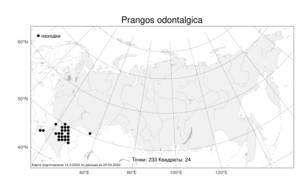 Prangos odontalgica (Pall.) Herrnst. & Heyn, Atlas of the Russian Flora (FLORUS) (Russia)